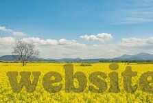 英超最大的足球比分-英超历史最大比分，一场载入史册的进球狂欢